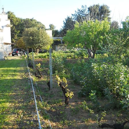 Il Giardino Casa Vacanze Villa Galatone Exterior foto